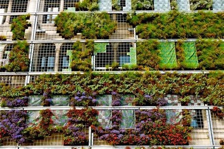 Eine ganze Hausfassade über mehrere Stockwerke dicht mit Pflanzen bewachsen, in Etagen aus Grün und Violett.